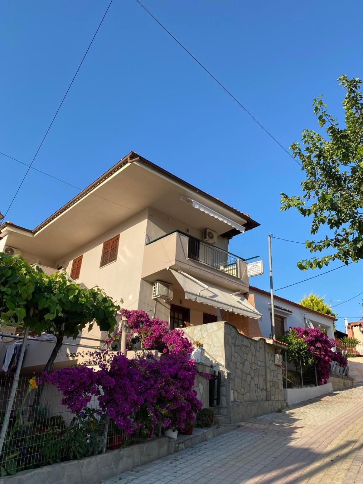 Miranda Studios Paliouri Luaran gambar